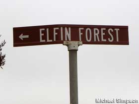 Elfin Forest.