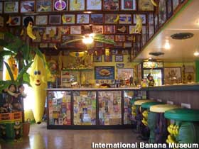 Banana Museum