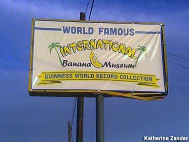 Banana Museum.