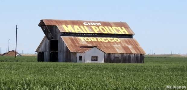 Mail Pouch Tobacco Barn.