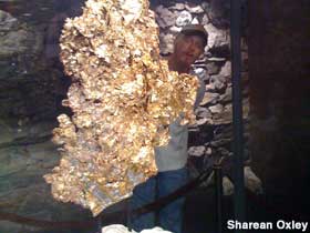 Largest gold specimen.