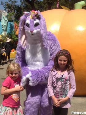 Purple bunny, giant pumpkin.