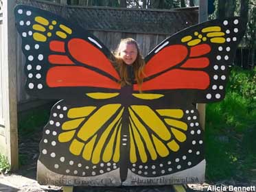 Monarch Butterfly Sanctuary.