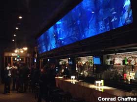 Mermaid tank at the Dive Bar.
