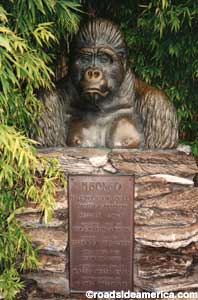 M'bongo bronze bust at the San Diego Zoo.