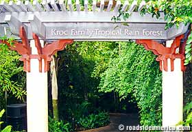 Kroc Family Rain Forest.