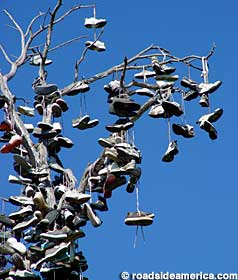 San Diego - Balboa Park shoe tree.