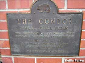 Plaque for the Condor.