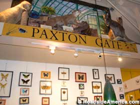 Paxton Gate displays.