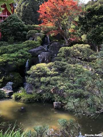 Waterfalls, Japanese Tea Garden.