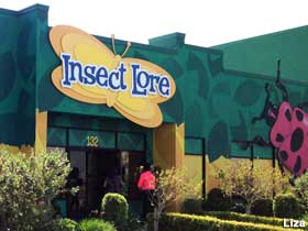 Insect Lore's Bugseum.