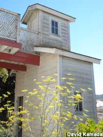2-story outhouse.