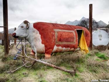Former food stand in a cow.