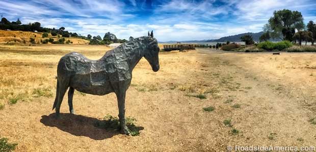 Statue of Blackie, Tiburon's famous swaybacked horse.