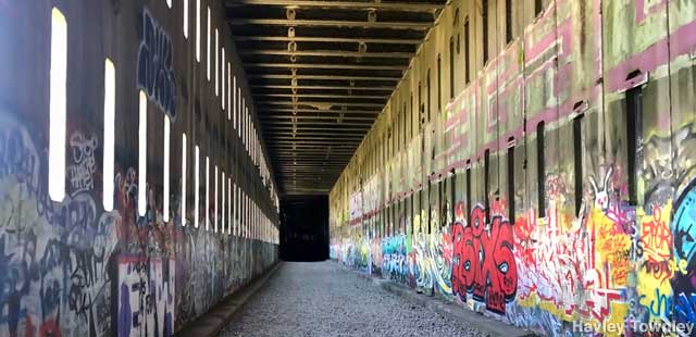 Abandoned railroad tunnel.