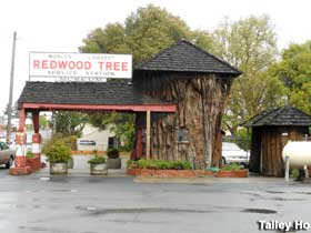 Redwood Tree service station.