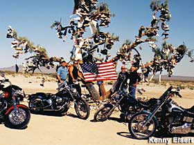Shoe Tree and motorcycles.