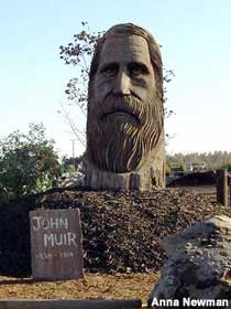 Carved John Muir Head.