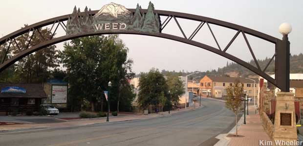 Town of Weed entrance arch.