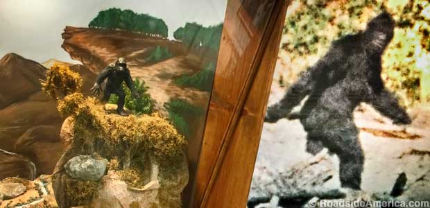 Diorama and frame blow-up from the Patterson-Gimlin film.