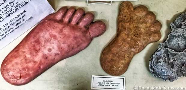 Cast copies of Bigfoot footprints.