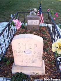 Grave of Shep.
