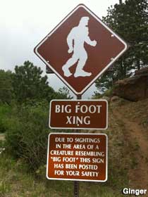 Bigfoot Crossing sign.