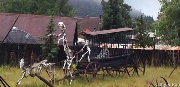 Skeleton horses.