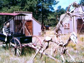 Prison wagon and skeleton horses.