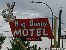 Big Bunny Motel.
