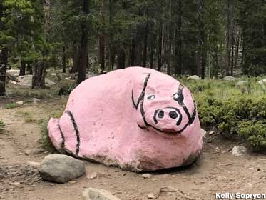 Pig Rock.