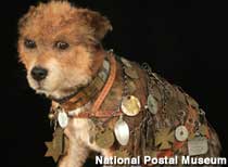 Owney, the Postal Dog Mascot