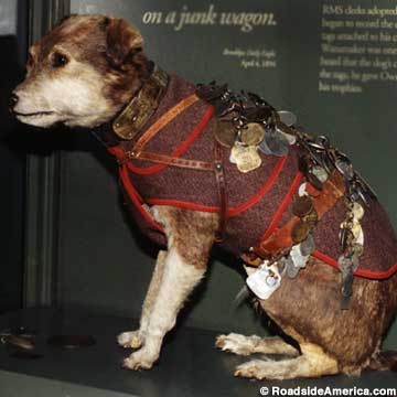 Owney, the postal service mascot.