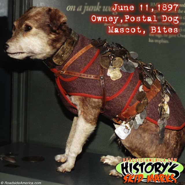 Owney, Postal Dog Mascot, Bites: June 11, 1897.