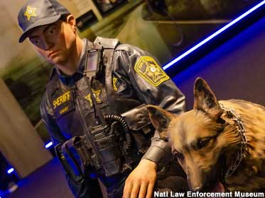K-9 Unit display tests your ability to smell.