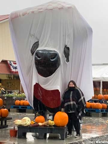 Bull in ghost costume.
