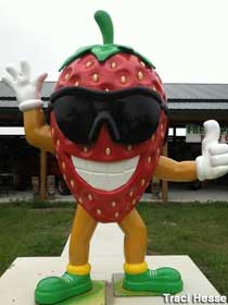 Strawberry Man -- aaayyyy!