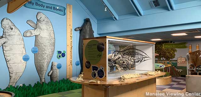 Indoor education center has exhibits on manatee anatomy - and you can smell a manatee's breath.