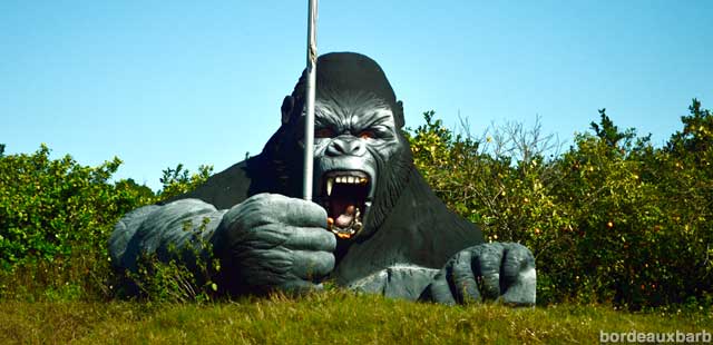 King Kong of the Orange Grove.