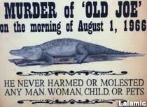 Old Joe, Stuffed Alligator.