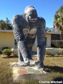 Gorilla statue.