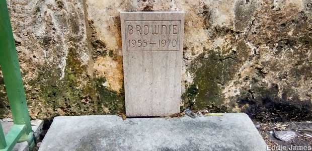 Grave of Brownie.
