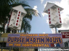 Southernmost Purple Martin House.