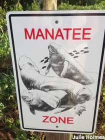 Manatee Zone.
