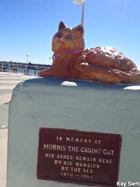 Morris the Casino Cat.