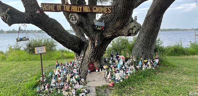 Holly Hill Gnomes.