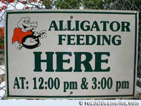 Feeding Schedule at Everglades Gator Farm, Homestead, Florida.