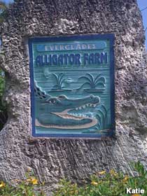 Everglades Alligator Farm.
