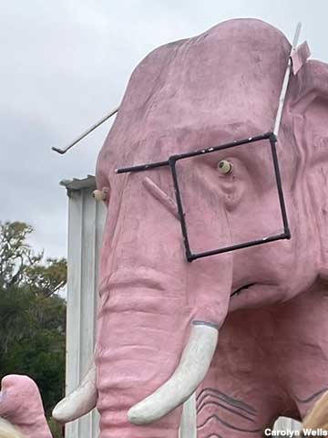 Pink Elephant, 2022.