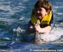 Sammy rides a dolphin.